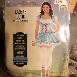 Dorothy (wizard of oz) Junior costume